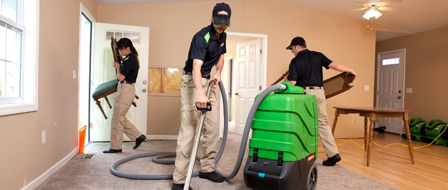 Port Townsend, WA cleaning services